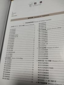 现代蔬菜病虫鉴别与防治手册（全彩版） 南库西架四层