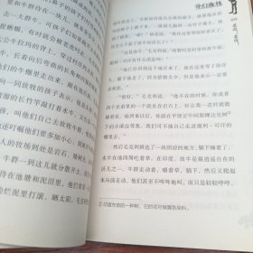 奇幻森林原著小说