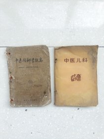 中医内科学概要，2本合售，编号1520