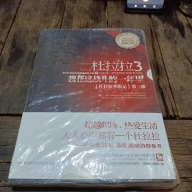 杜拉拉3：我在这战斗的一年里