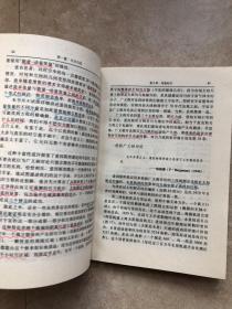 黑洞