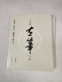 王宽鹏左笔字帖(全二册) 全新未开封