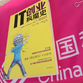 IT创业疯魔史