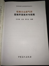 松南火山岩气田高效开发技术与实践