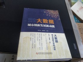 大数据：城市创新发展新动能