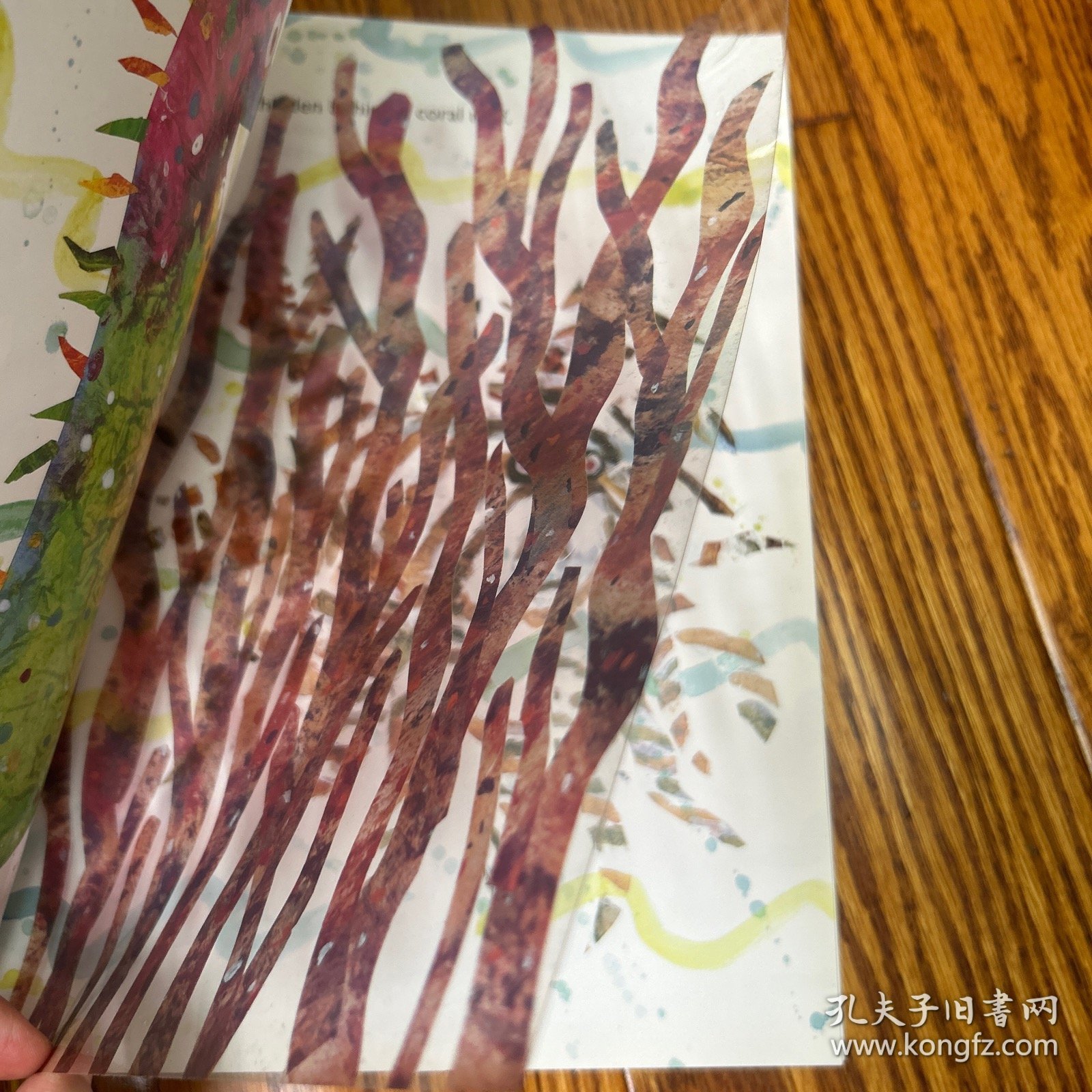 Mister Seahorse海马先生 正版 看内页