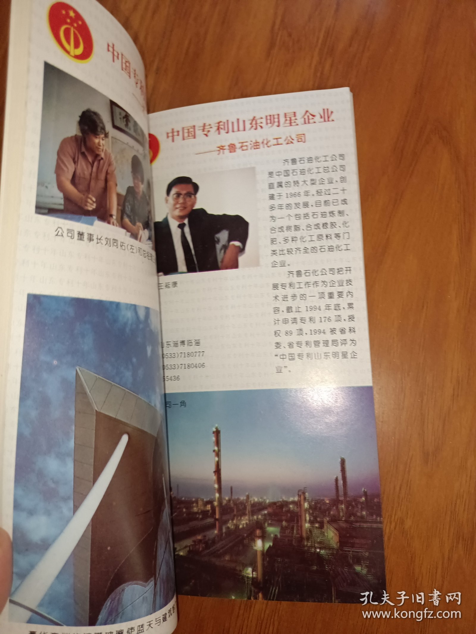 山东专刊十年1985－1995