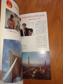 山东专刊十年1985－1995