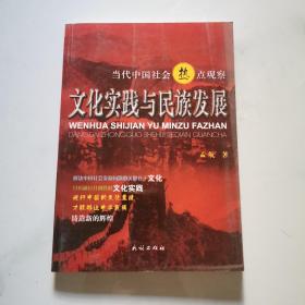 文化实践与民族发展 当代中国社会热点观察 孟航著 民族出版社    货号N3