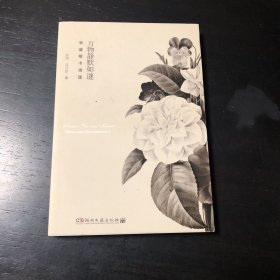 万物静默如谜：辛波斯卡诗选