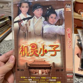 国剧 机灵小子 DVD