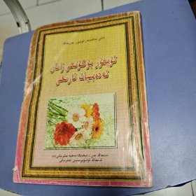 维吾尔当代文学史