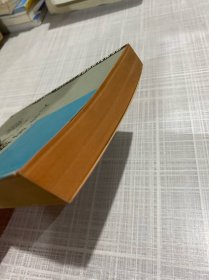 人性的伽锁下册