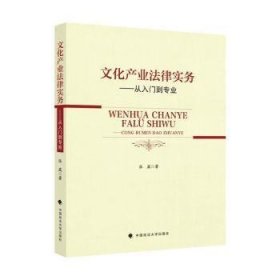 文化产业法律实务——从入门到专业张崴法律律师实务社科专著中国政法大学出版社