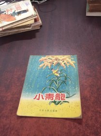 小青龙