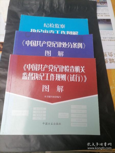 《中国共产党纪律检查机关监督执纪工作规则（试行）》图解