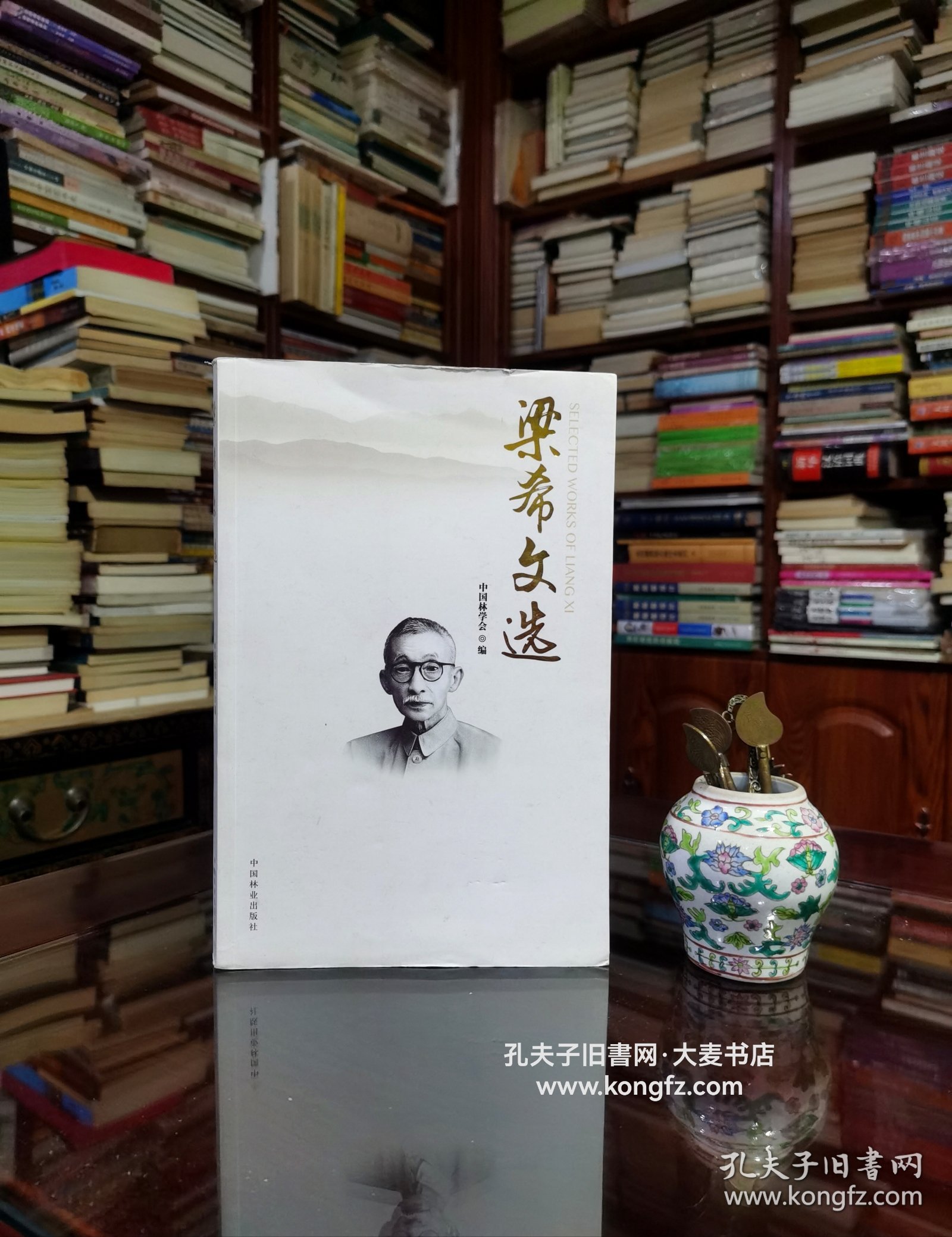 梁希文选•梁希先生是我国杰出的林学家、教育家，是新中国首任林业部长，也是新中国成立后中国林学会第一任理事长。梁希先生与凌道扬先生等老一辈林学家一起，于1917年创立了中华森林会，1928年更名为中华林学会，新中国成立后定名为中国林学会。我们在1983 年出版的梁希文集基础上重新编辑出版了这部梁希文选，共收录梁希先生所作文章61篇、诗词128首。将梁希著作目录附于书后。所收著作基本保持文章原貌。
