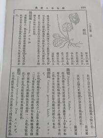 民国时期旧书16开大本植物学大辞典，带插图，详情见图！