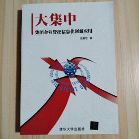 大集中：集团企业管控信息化创新应用