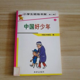 中国好少年-小学生班级书架(第二辑)中国少年报社