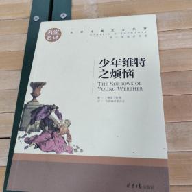 少年维特之烦恼