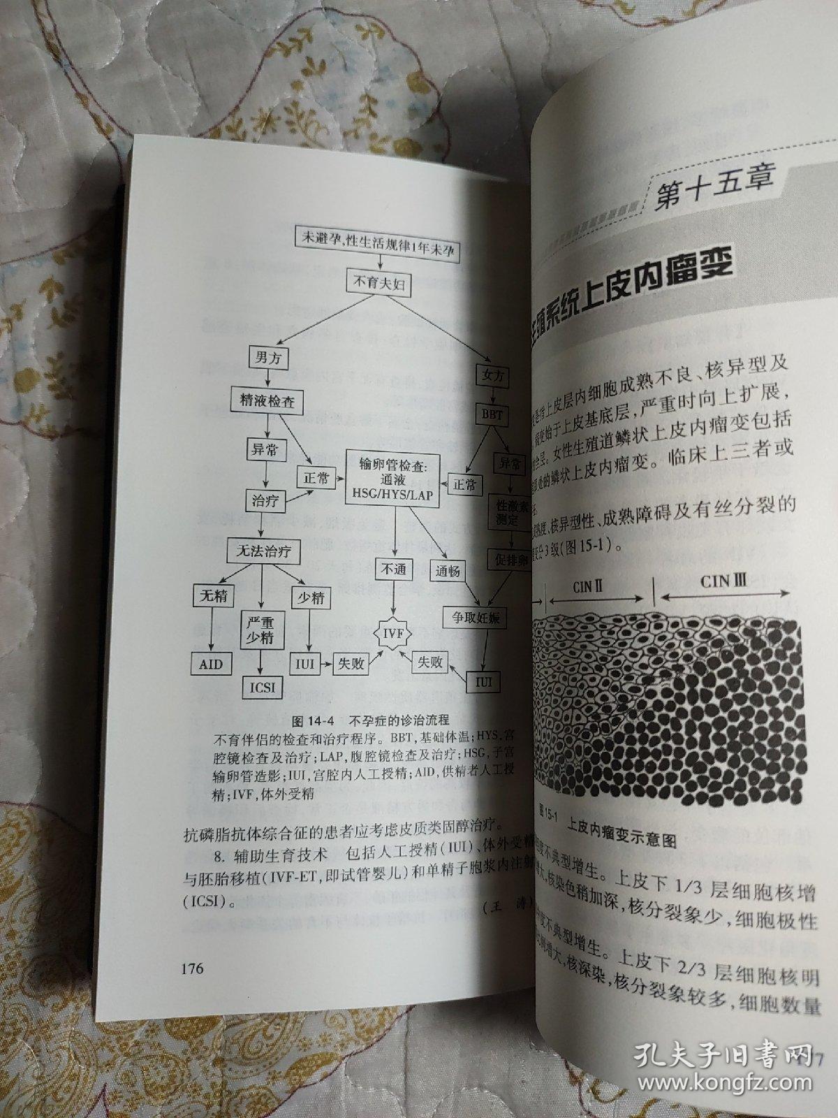 北京协和医院妇产科住院医师手册