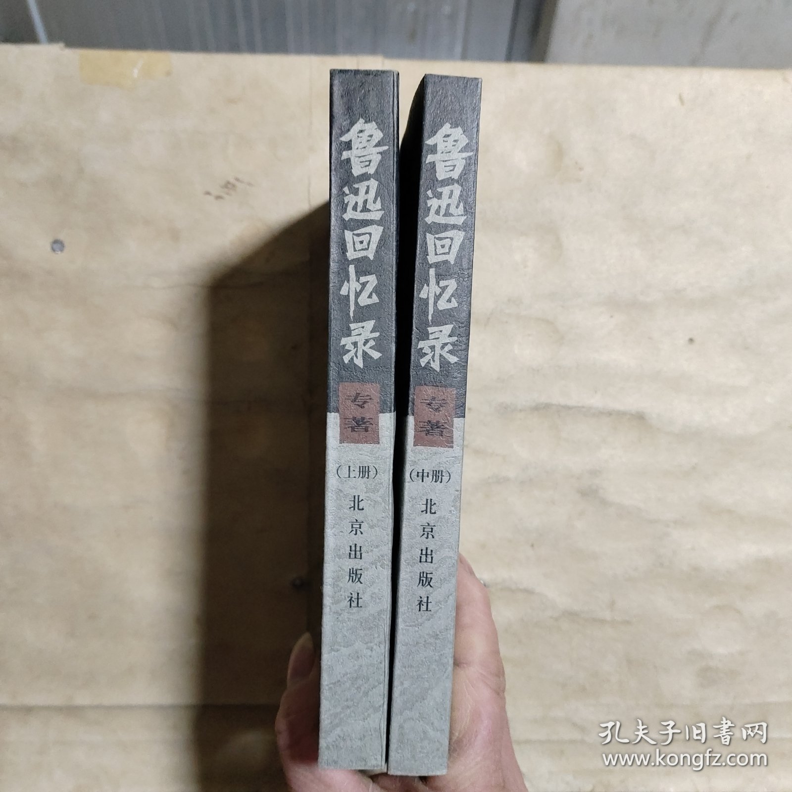 鲁迅回忆录 专著（上中册）