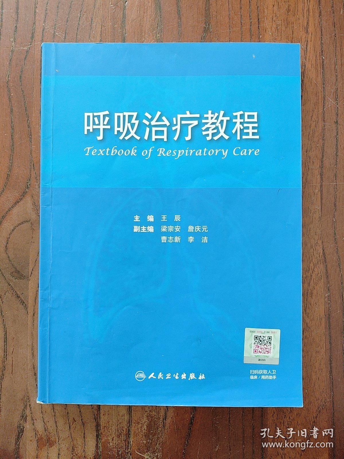 呼吸治疗教程 9787117131308