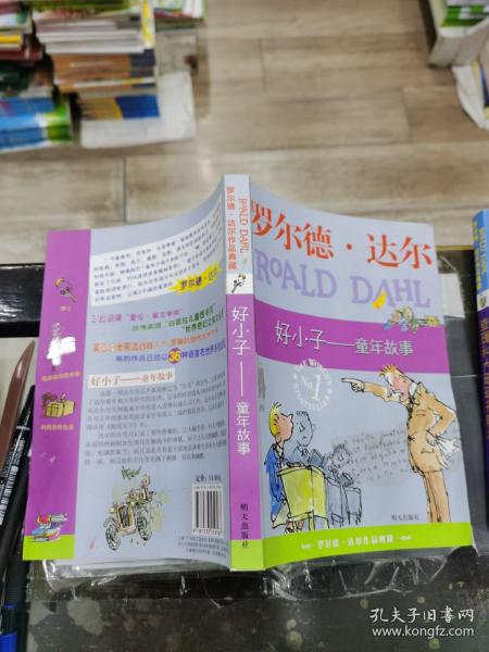 好小子-童年故事：罗尔德·达尔作品典藏