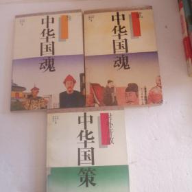 爱我中华丛书：中华国策、中华国魂2、3（3本合售）