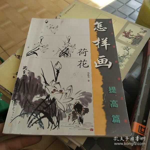 美术爱好者之友：怎样画荷花（提高篇）