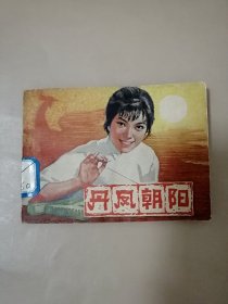 连环画：丹凤朝阳