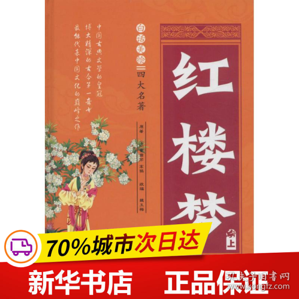 白话美绘四大名著 红楼梦（套装上下册 精装）