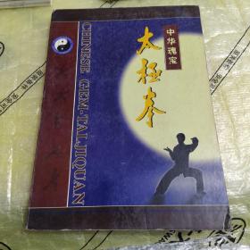 中华瑰宝太极拳