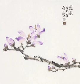 保真书画，山西名家，赵华双精致国画小品《花影》展览作品，尺寸44×44cm，软片。赵华双，山西阳泉人。现为中国美术家协会会员，中国工笔画学会会员，国家一级美术师，山西省美术家协会主席团委员，山西省美协山水画艺委会副会长，山西省工笔画学会副会长，阳泉市美术家协会主席。