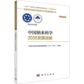 中国纳米科学2035发展战略 新材料 作者 新华正版