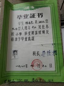 80年小学毕业证书