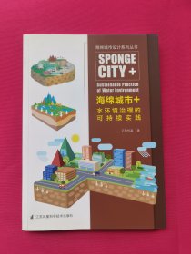 海绵城市+水环境治理的可持续实践（比海绵城市更进一步的水环境解决方案）