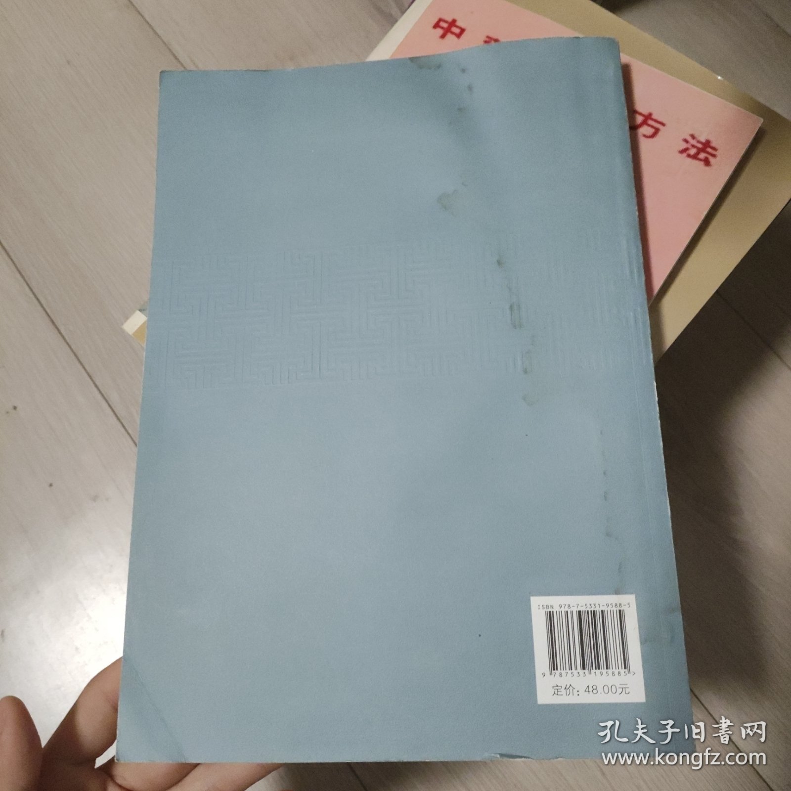 中医肺十法