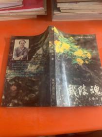 武陵魂