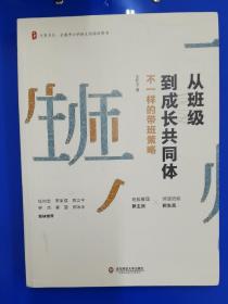 大夏书系·从班级到成长共同体：不一样的带班策略（班级管理新主张，缔造班级新生态）