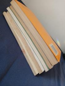 鸢都楷模 潍坊简史 潍坊乡镇企业发展探索 潍坊改革工业有活力 漫游风筝城一位老华侨在潍坊(五本合售)