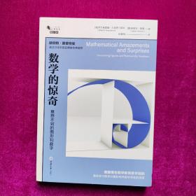 数学的惊奇：意想不到的图形和数字  [美]阿尔弗雷德著   重庆大学出版社（正版品好，无笔记）