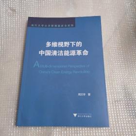 多维视野下的中国清洁能源革命