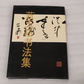 藍(lán)玉崧書法集 硬精裝