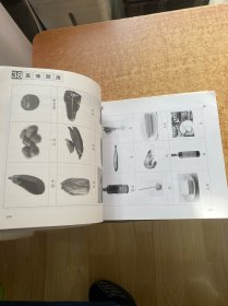 国际汉语教师自主发展丛书：我的课堂活动设计笔记（话题功能篇）