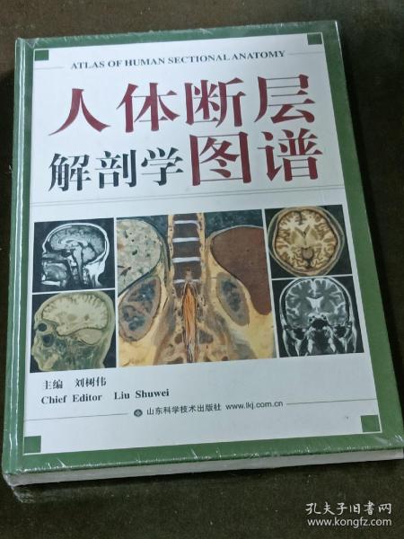 人体断层解剖学图谱