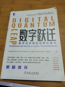 数字跃迁：数字化变革的战略与战术