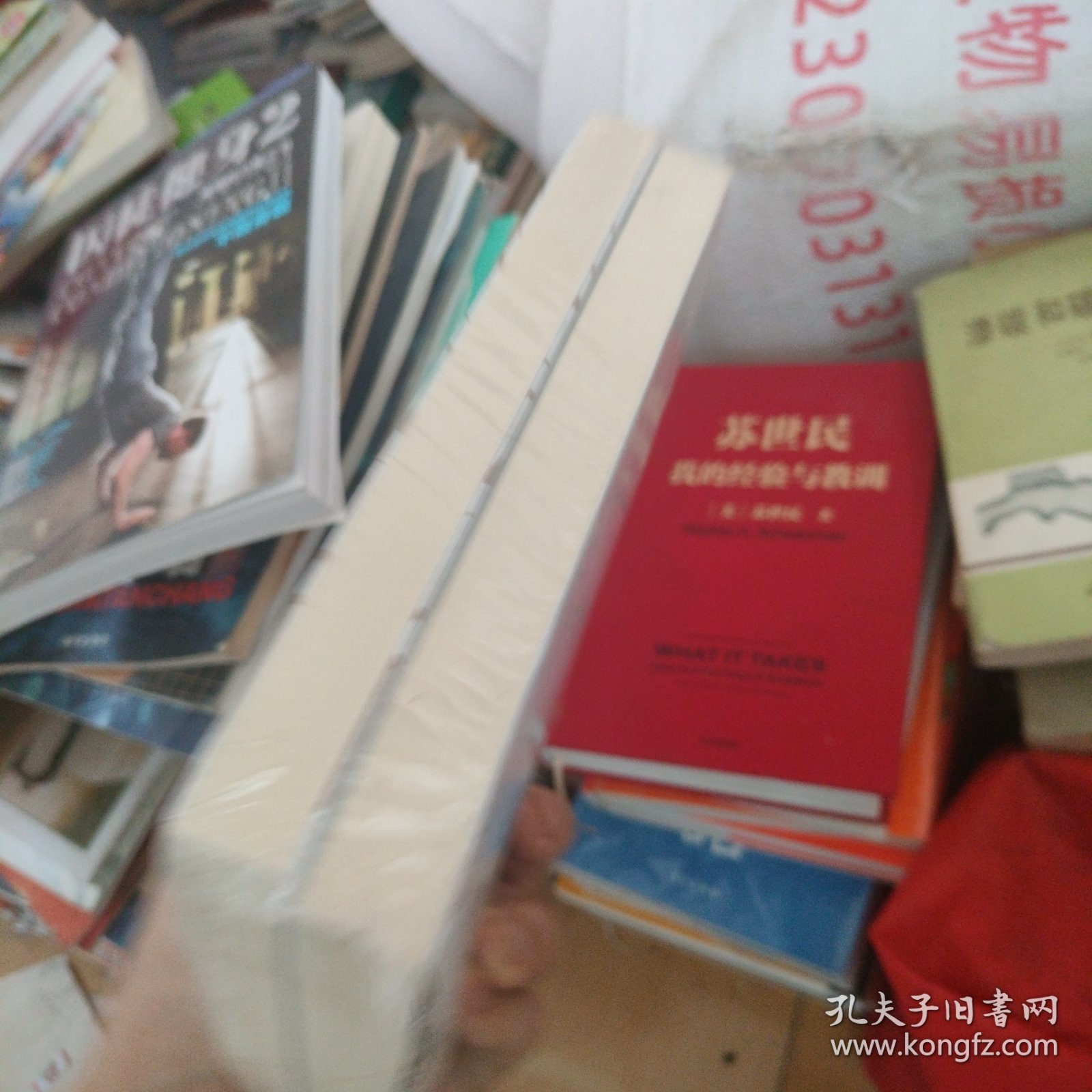 金雀花王朝 上下