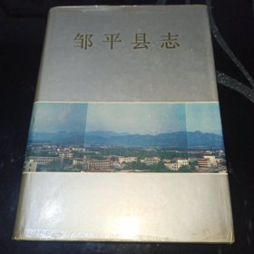 邹平县志